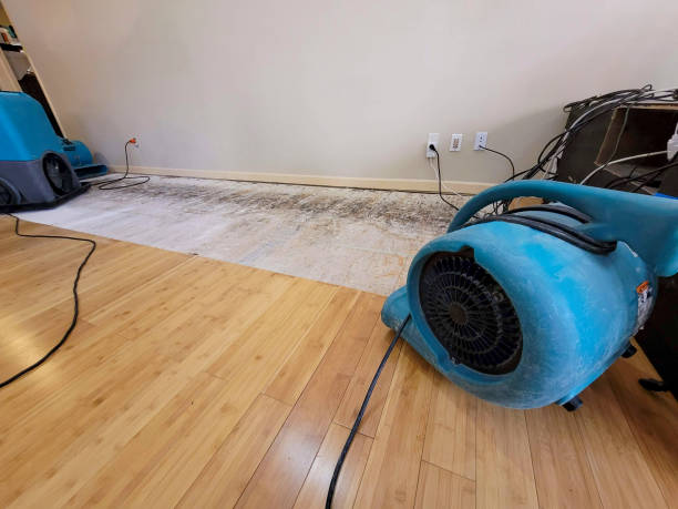Professional Ceiling Water Damage Repair technician working in Lindon, UT